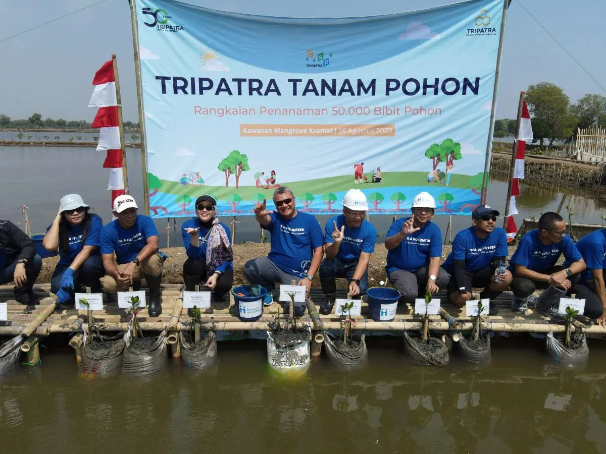 Cegah Perubahan Iklim, TRIPATRA Tanam 50.000 Pohon Mangrove di Banten