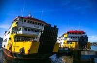 Wajib Sebelum Menyeberang, Ini Link & Cara Beli Tiket Kapal Online Di Ferizy