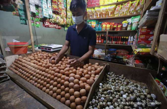 Mulai Minggu Ketiga April, Pemerintah akan Salurkan Bansos Telur dan Ayam