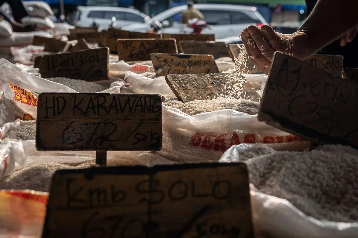 Harga Pangan Hari Ini (9/10): Beras, Daging Sapi, Telur Ayam Naik, Cabai Merah Turun