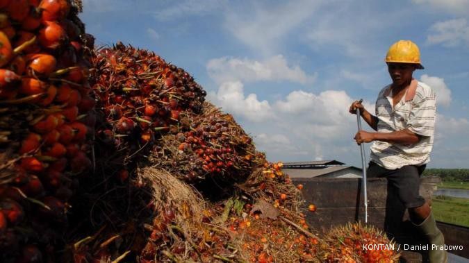 Suplai berlebih, harga CPO melemah