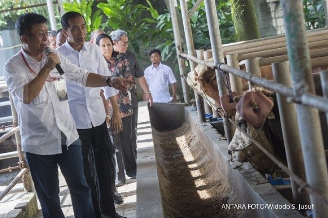 Jokowi: RI masih impor daging sapi hingga 2026
