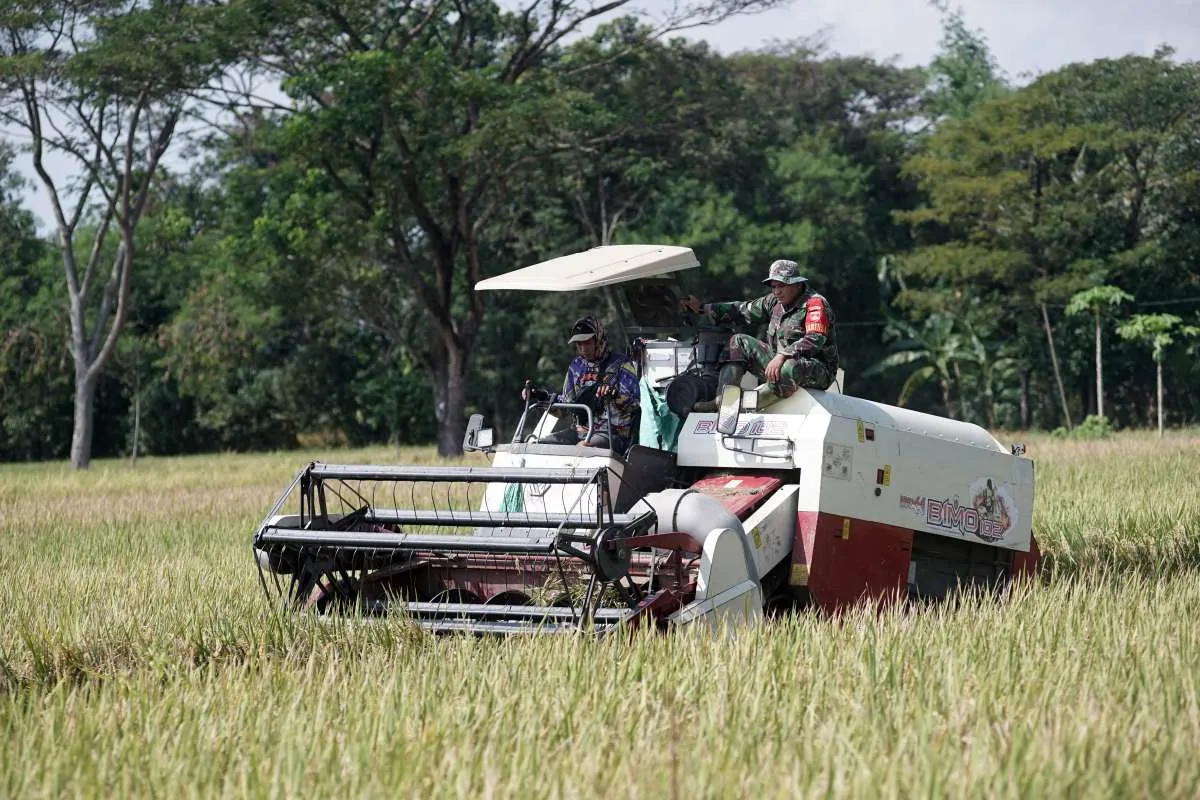 Indonesia Boosts Role of Military in Food Security Initiative 