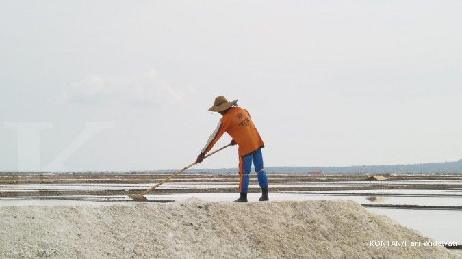 Lahan 225 hektare PT Garam masih menunggu keputusan Pemda Kupang