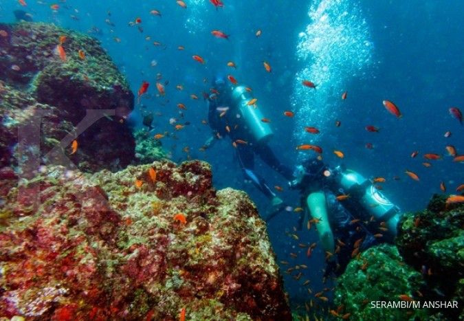 Jepara regency offers new diving spot at Panjang