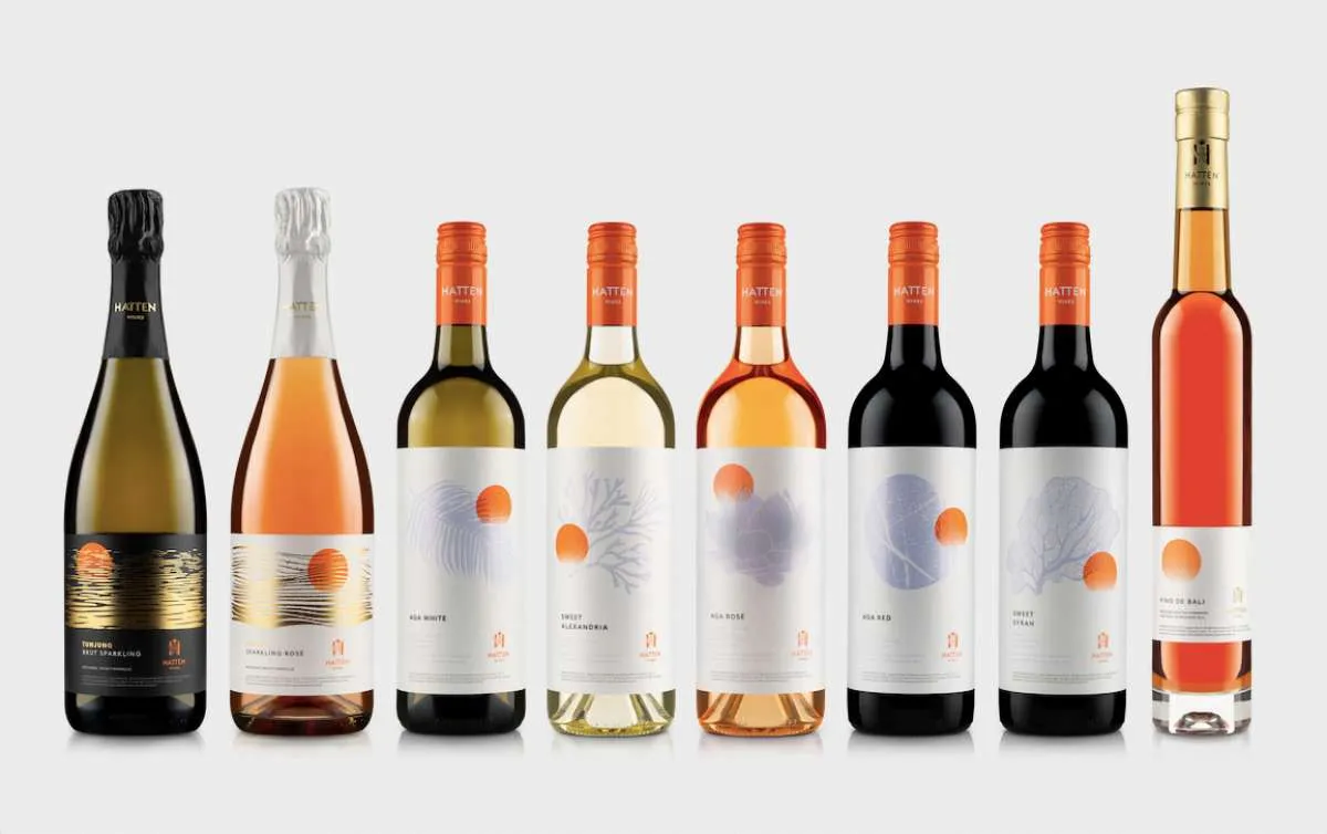 Soal Rencana Penerapan Kenaikan Pajak Hiburan, WINE Sebut Tak Terdampak Langsung