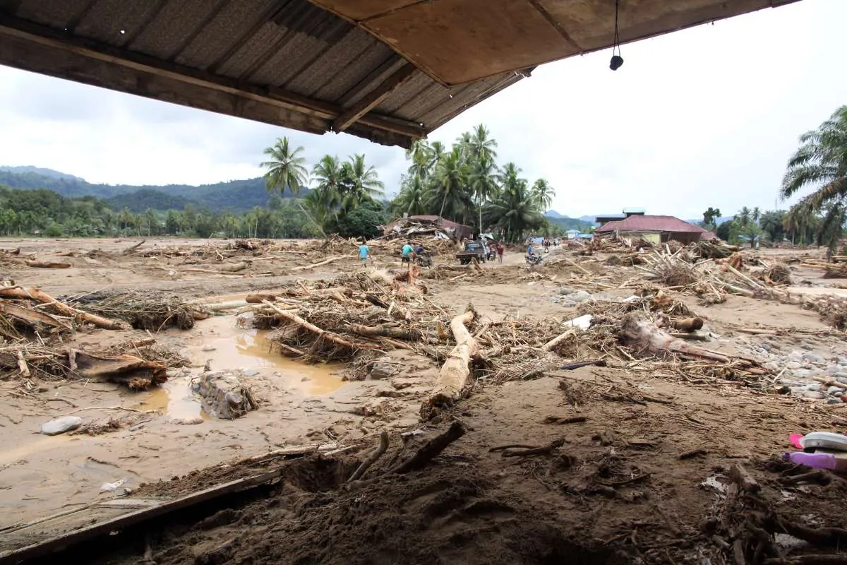 Kayu Gelondongan Terbawa Banjir di Sumut, Ini Penjelasan Kemenhut 