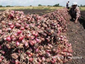 Meski pasokan mencukupi, harga bawang merah masih tetap naik