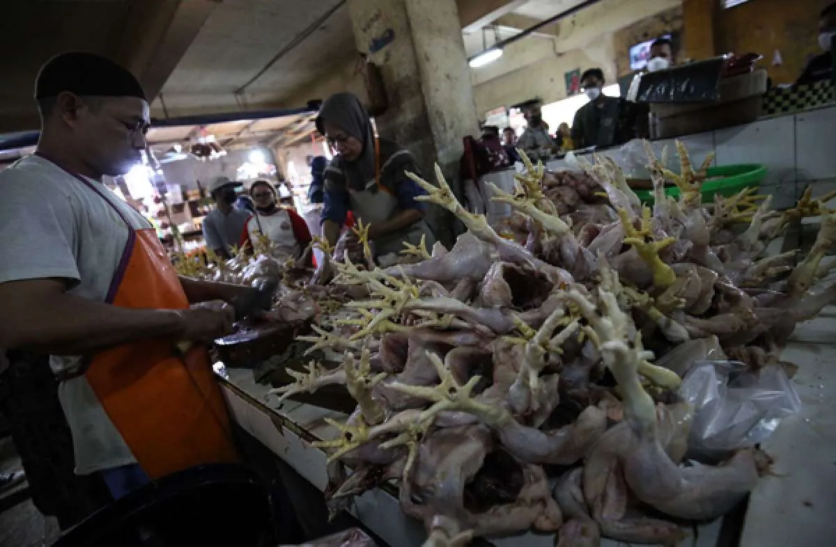 Harga BBM Naik, Ikappi: Harga Sembako Dipastikan Ikut Naik