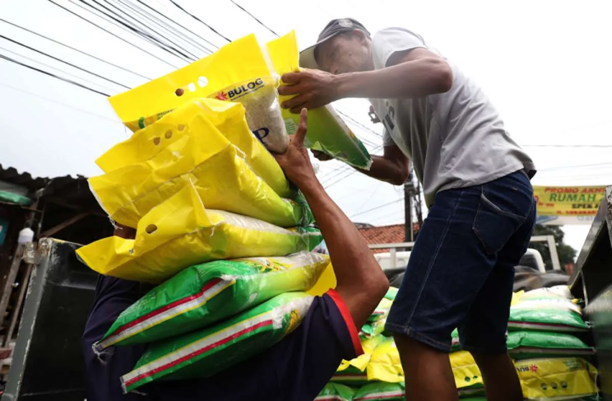 Harga Beras Naik dan Pasokan Langka, Ini Kata Pengamat