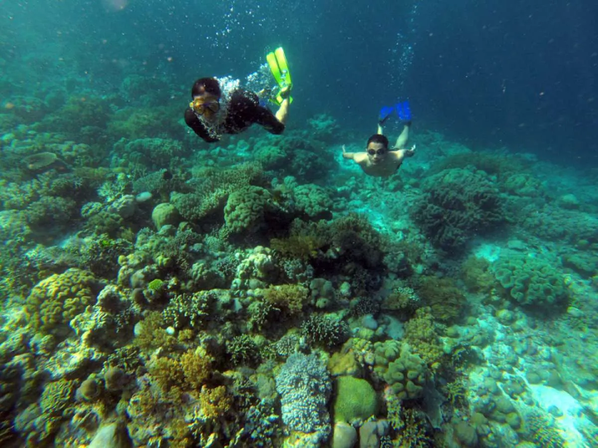 Menyelami surga kecil bawah laut Wakatobi