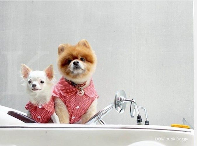 Waspada Penyakit Zoonosis dari Hewan Peliharaan, Simak 10 Cara Pencegahan