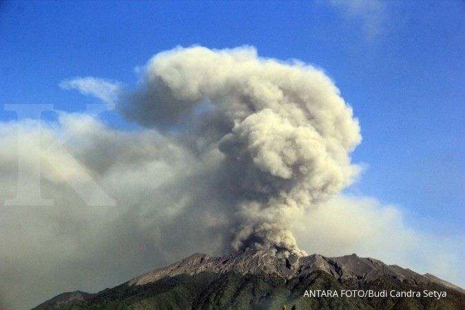 Petani tembakau merugi akibat erupsi Gunung Raung