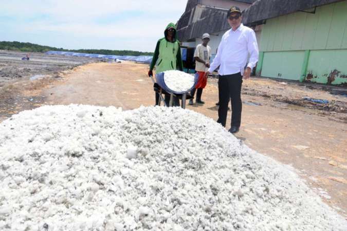 Kebutuhan industri tinggi, pemerintah genjot produksi garam lokal