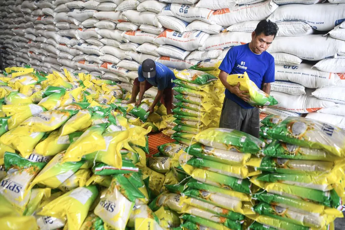 Akar Masalah Harga Beras Tak Kunjung Turun Menurut Perpadi