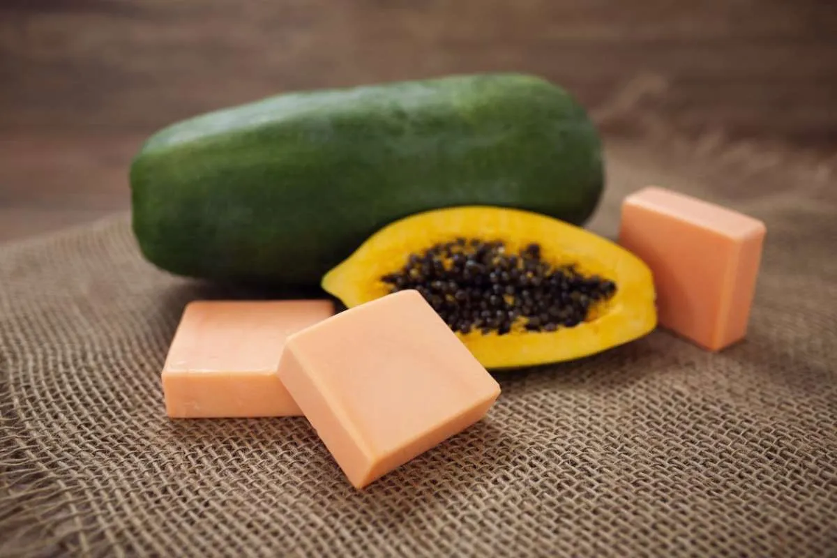 Buah Pepaya Bisa Jadi Obat Herbal Ampuh untuk Bikin Asam Lambung Kabur