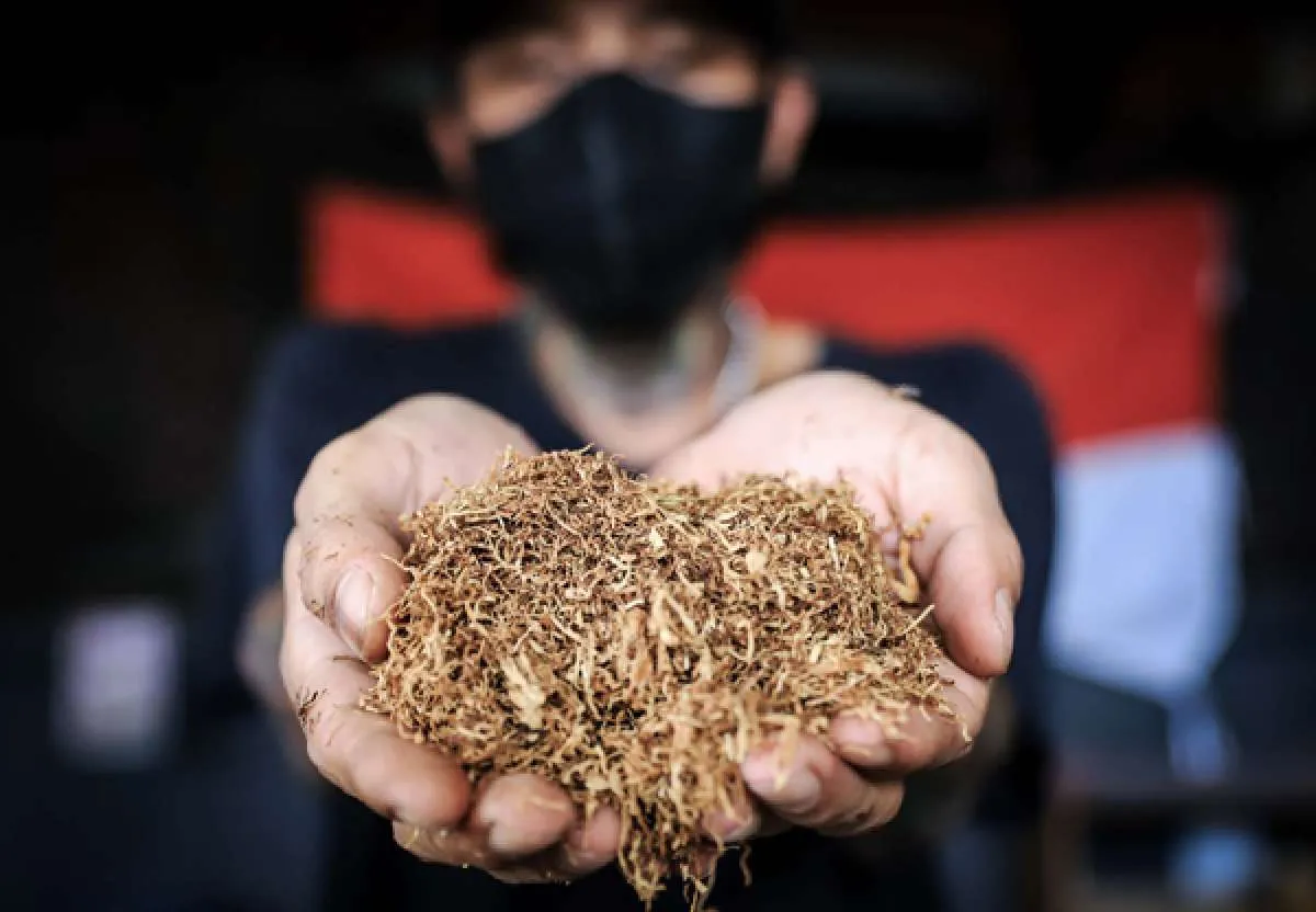 Ekosistem Tembakau Menilai Proses Revisi PP No 109/2012 Tidak Sesuai Aturan