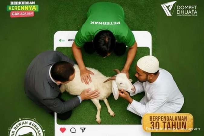 Harga Kambing 2025 di Nusa Tenggara Timur Jelang Idul Adha Menurut Dompet Dhuafa NTT