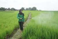 Widodo Makmur Perkasa (WMPP) Kembangkan Semangat Wirausaha Petani Muda Indonesia