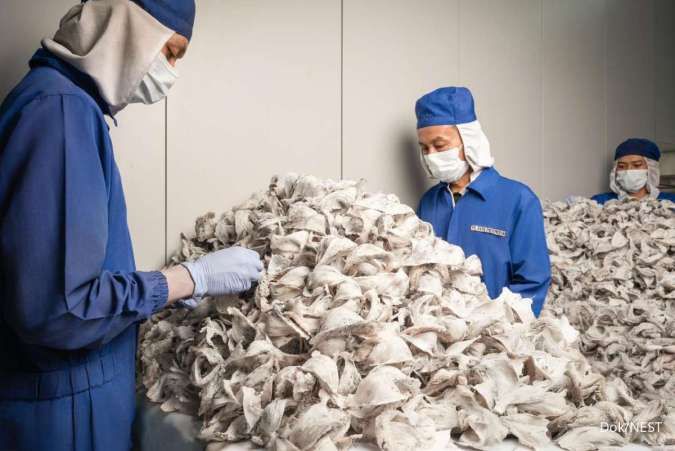 Bangun Pabrik Baru, Esta Indonesia (NEST) Proyeksi Omset Naik 300%