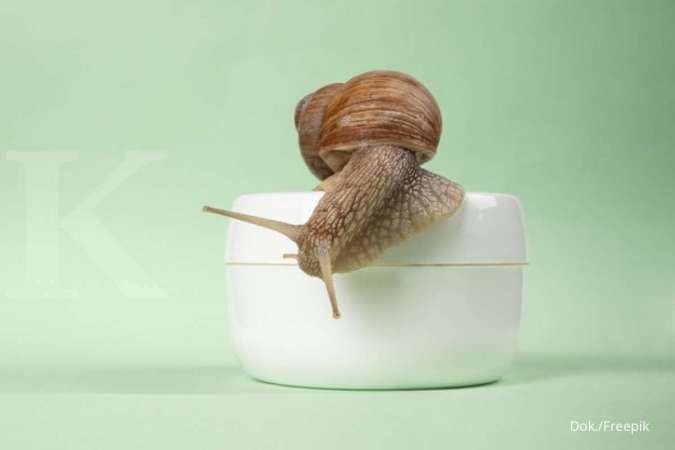 5 Manfaat Snail Mucin atau Lendir Siput dalam Produk Skincare, Tertarik Mencobanya?