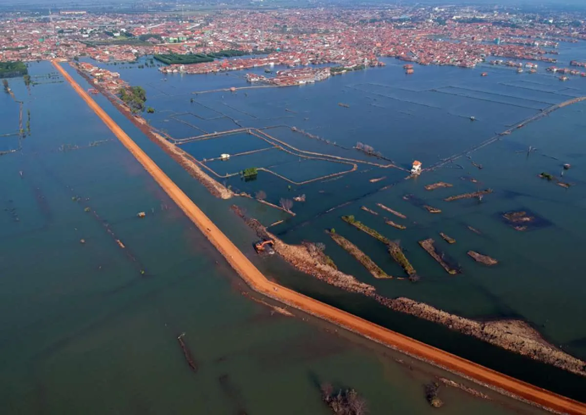 BRIN ingatkan pesisir utara Pulau Jawa darurat tenggelam