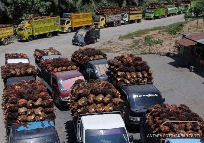 Harga CPO Berpotensi Pulih, Simak Rekomendasi Saham Emiten Sawit