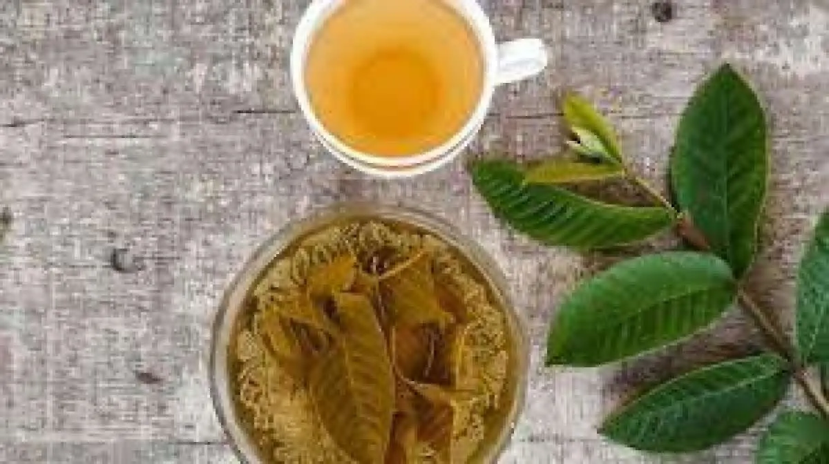 Teh Daun Jambu Biji Bisa Membantu Menurunkan Berat Badan? 