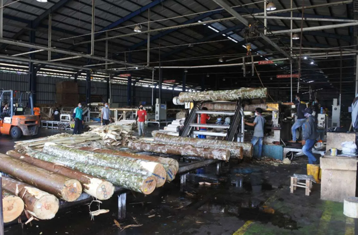 Pemerintah dan Pelaku Usaha Akan Genjot Ekspor Produk Kayu ke Amerika Serikat