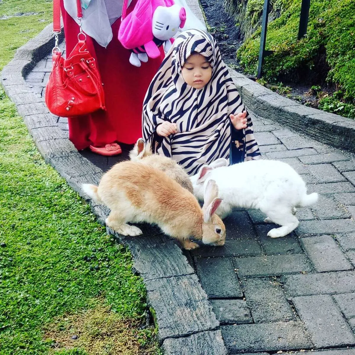 Taman Kelinci Malang, tempat liburan yang cocok untuk anak-anak