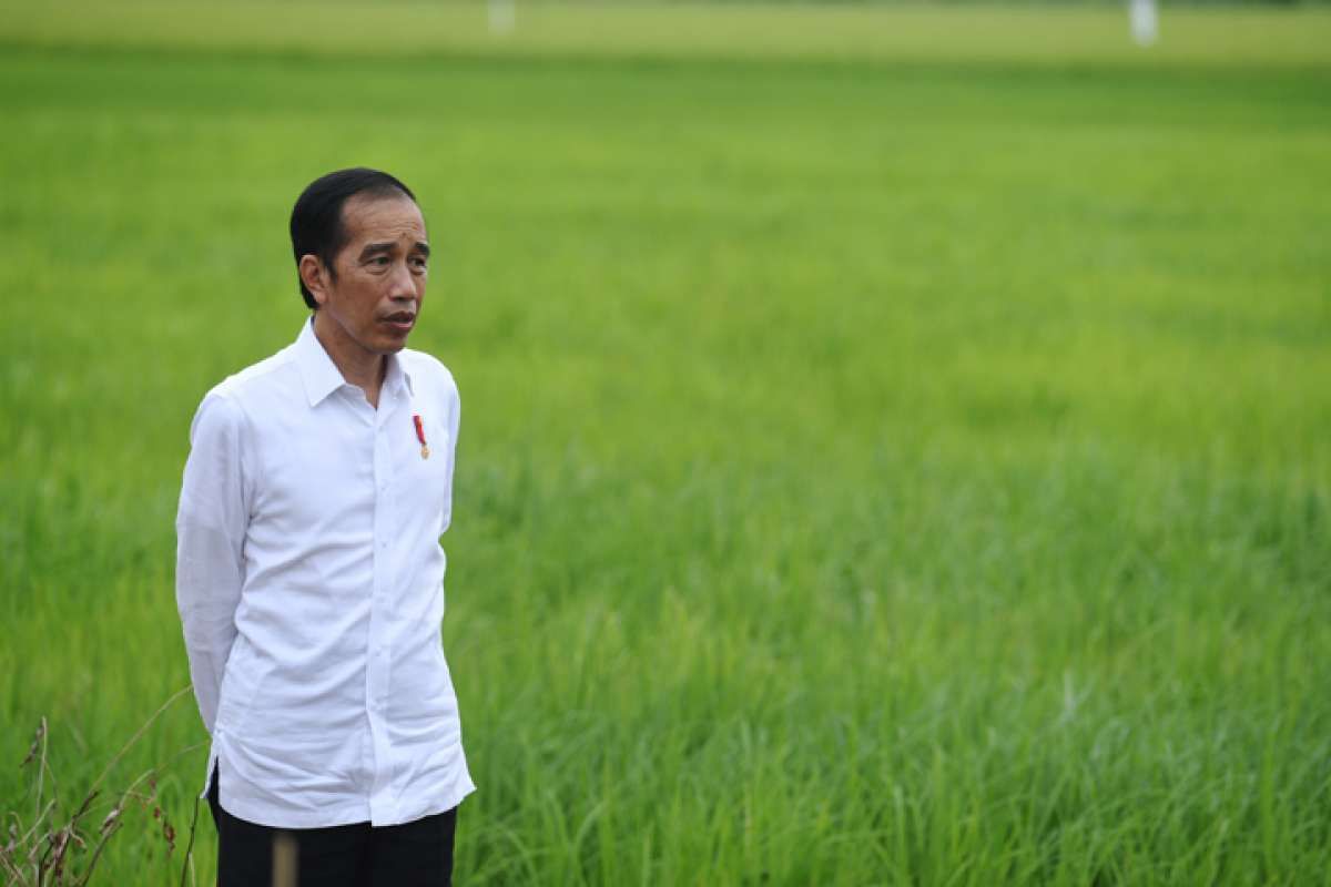 OJK Aman dari Rencana Pembubaran 18 Badan di Bawah Pemerintah