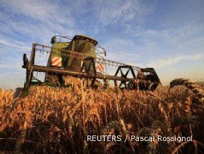 Persediaan gandum, kedelai dan jagung AS makin tipis
