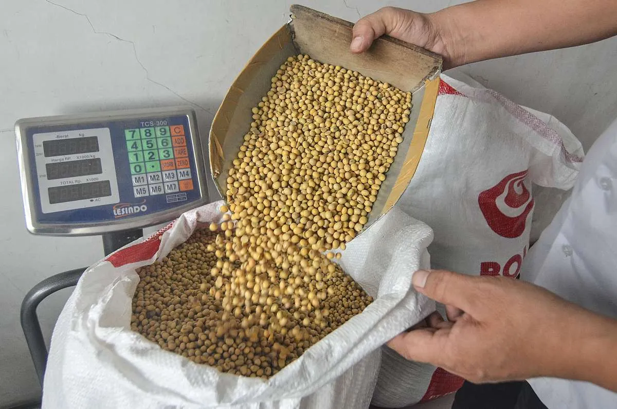 Kementan perkirakan impor kedelai untuk tahu tempe capai 2,6 juta ton di 2021
