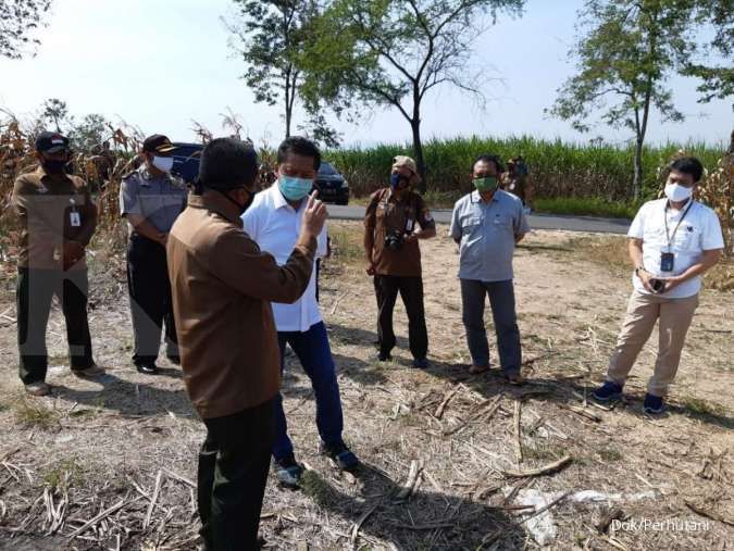Perhutani bekerjasama dengan PTPN XI kembangkan agroforestry tebu di Jawa Timur