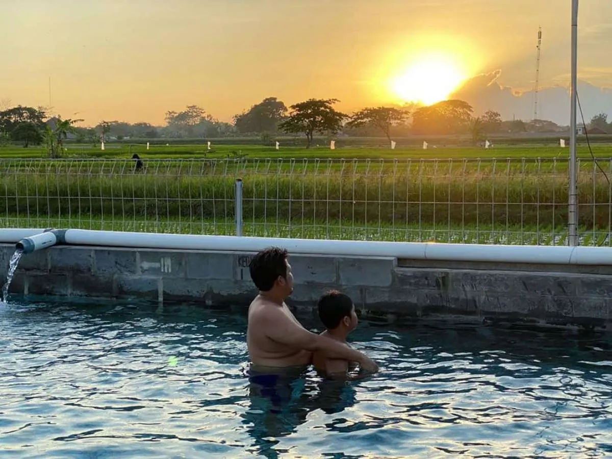 Pesona Alam Tirta tawarkan sensasi berenang di tengah sawah