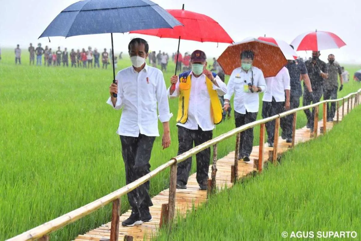 Air jadi kendala food estate di NTT, Jokowi minta Menteri PUPR bangun bendungan