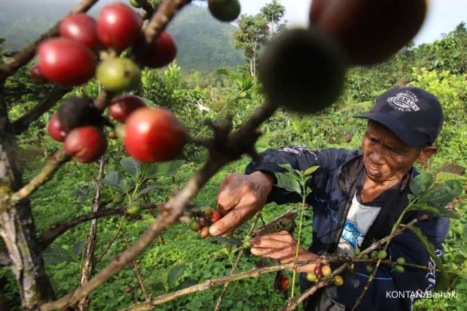 Pasar Kopi Vietnam Melemah di Akhir 2025, Harga Kopi Indonesia Melonjak