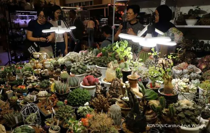 6 Tanaman Hias Unik yang Bikin Rumah Lebih Estetik yang Mirip seperti Galeri Seni