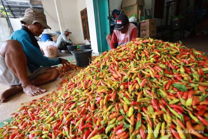 Harga Cabai Merah Naik Jelang Ramadan 2026, Mendag: Faktor Cuaca