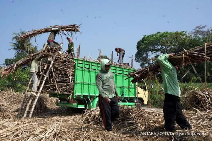 Ini Wilayah yang Diprediksi Udara Kabur, Cek Prakiraan Cuaca Jawa Timur Besok (19/8)