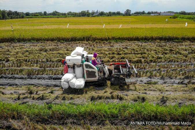 Produksi Beras Kuartal I-2026 Melonjak 15,79%, BPS Ingatkan Masih Data Sementara