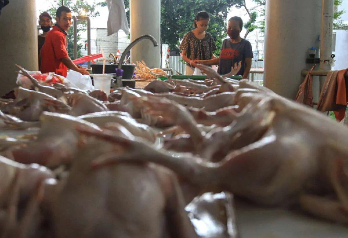 Jelang Natal dan Tahun Baru, Kemendag: Ketersediaan bahan pangan aman