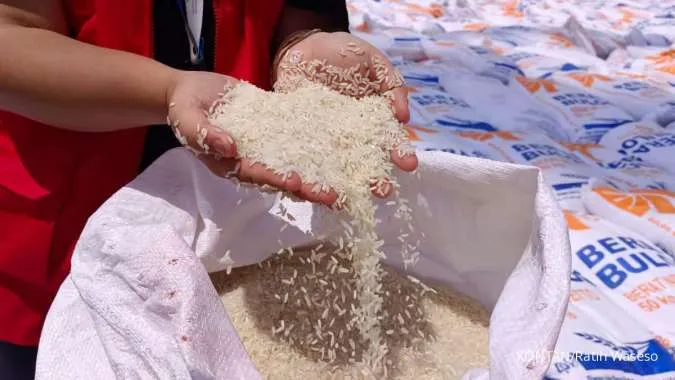 Indonesia Considers Importing 1 Million Tons of Rice from India Next Year