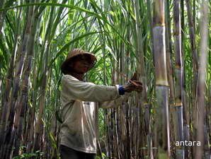 MOLINDO IPO Di Harga Rp 450-750 per saham