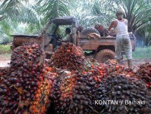DBS pangkas prediksi produksi kelapa sawit Malaysia
