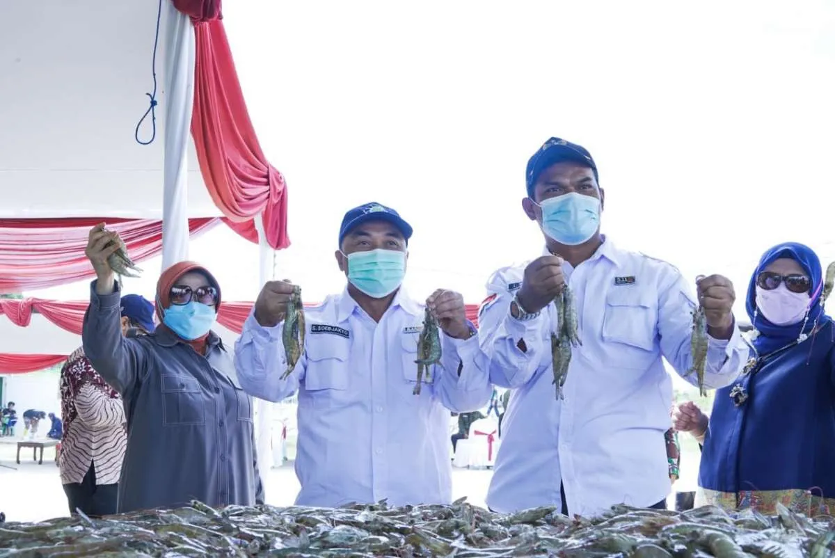 KKP Terbitkan Sertifikasi Cs-137, Nelayan Soroti Risiko Hambatan Struktural