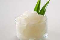 8 Manfaat Kolang-Kaling, Kurangi Nyeri Sendi Sampai Gula Darah & Gangguan Pencernaan