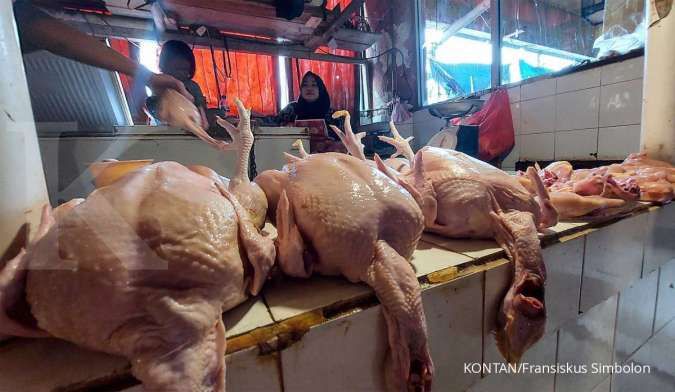 Harga Ayam di Malaysia Melompat Dua Kali Lipat, Apa yang Terjadi?  