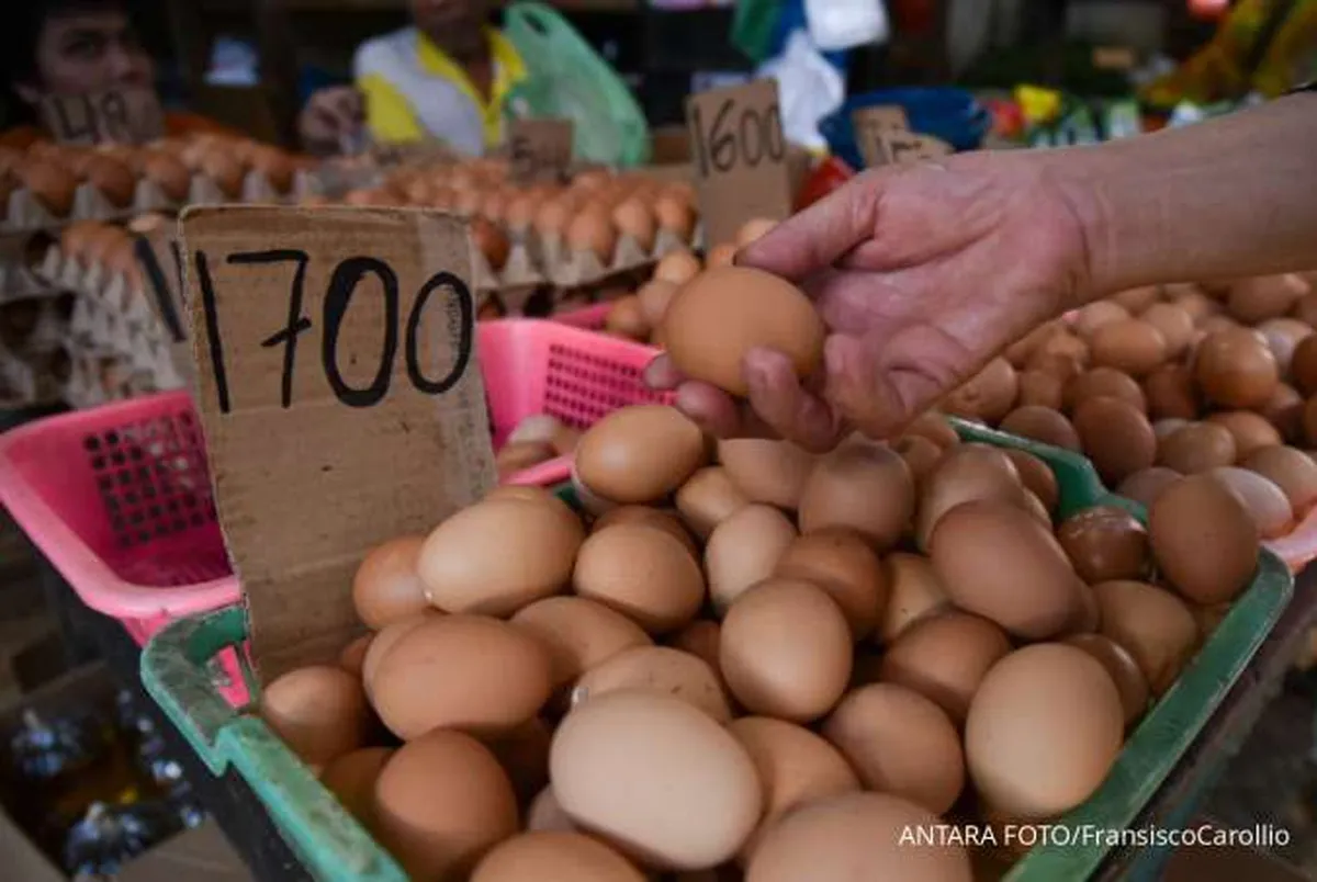Harga Pangan Hari Ini (3/10): Beras, Cabai Merah Keriting, Daging Ayam, Telur Turun