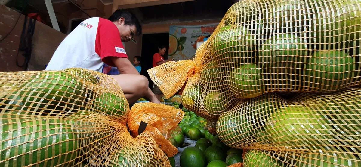 Hingga September, KUR senilai Rp 30,18 miliar mengalir via kanal digital